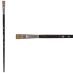 Princeton Pro Series 6000 Synthetic Brush - Flat, Long Handle, Size 4