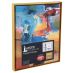Illusions Aluminum Floater Frame, 11" x 14" Gold - 7/8" Deep