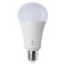 Daylight LED 15 Watt Replacement Bulb