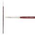 New York Central Munich Premier Bristle Blend Brush, Filbert Size #1 