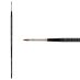 New York Central Professional Control Oil Color Brush Kolinsky Sable Almond Filbert (116) sz 1