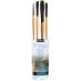 Princeton Catalyst Polytip Bristle Brushes - Pro Set of 4