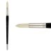 Creative Mark Pro-Stroke Premium White Hog Brush, Round #16