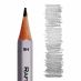 Raffine Graphite Pencils Set of 12 - 5H