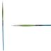 Princeton Snap! Series 9800 White Synthetic Brush - Round, Long Handle, Size 2