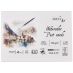SMLT Watercolor Post Cards, 300 gsm, 4" x 6", Pack of 20