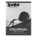 Soho Colossal Sketch Pad 9"x12", 75 lb. (100 Sheets)