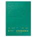Stonehenge Assorted Colors Drawing & Printmaking Paper Pad (90lb) Vellum Finish, 11x14" (15 Sheets)