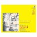 Strathmore 300 Series Bristol Pad Tape Bound 19" x 24" 100lb (20 Sheets-Smooth)