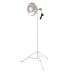 Testrite Fotolight and Stand 31-84" (4lb) - Aluminum