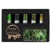 Tusc & Pine Oil Color Green Colors Starter Set of 5, 40ml Tubes