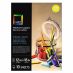 UART Sanded Pastel Paper 240 Grade 12" x 18" (Pack of 10) 