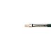 Winsor & Newton Winton Hog Brush Bright #2