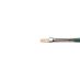 Winsor & Newton Winton Hog Brush Flat #1