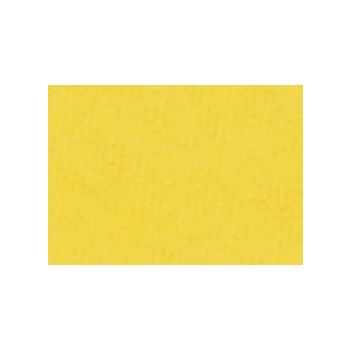 Sennelier Artist Dry Pigments Cadmium Yellow Medium Hue 80 grams