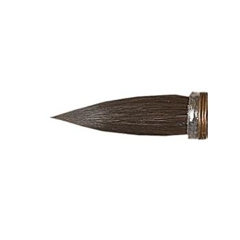 Harmony Squirrel Quill 3
