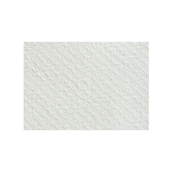 Canson Mi-Teintes Board 16" x 20" (Pack of 5) 