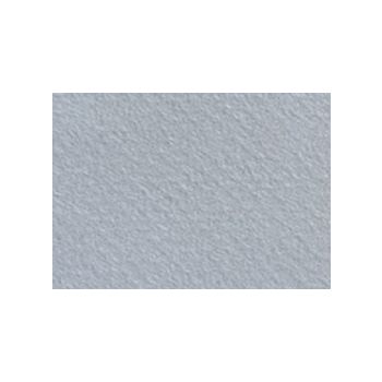 Canson Mi-Teintes Board 16" x 20"  (Pack of 5) 