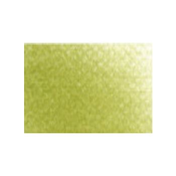 PanPastel™ 9 ml Compact - Brite Yellow Green Shade