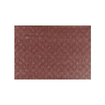 PanPastel™ 9 ml Compact - Red Iron Oxide Shade