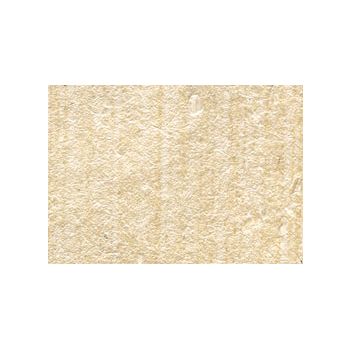 Phenomenon Shell Paper 5-Pack - Natural