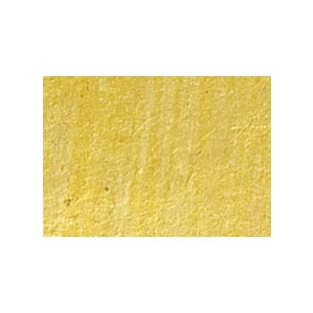 Phenomenon Shell Paper 5-Pack - Yellow