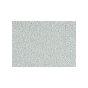 Canson Mi-Teintes Board 16" x 20" (Pack of 5)