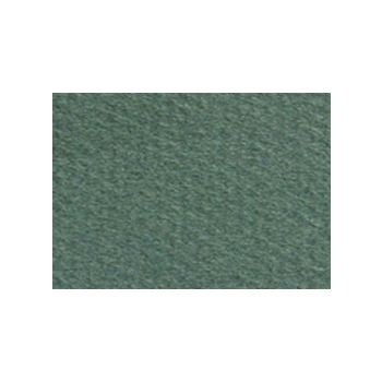 Canson Mi-Teintes Board 16" x 20"  (Pack of 5) 