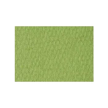 Canson Mi-Teintes Board 16" x 20" 4 Ply (Pack of 5) 