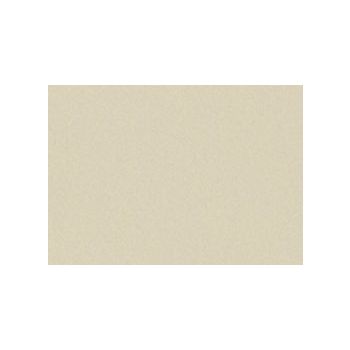Art Spectrum Colourfix Fine Tooth Pastel & Mixed-Media Paper 9-1/2" x 12-1/2" (Pack of 10) 