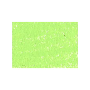 Caran d'Ache Neocolor II Crayons Box of 10 No. 231 - Lime Green