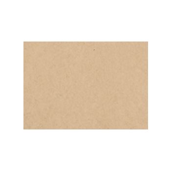 Strathmore 400 Series Recycled Toned Sketch Paper - 19"x24" Tan (25 Sheets)