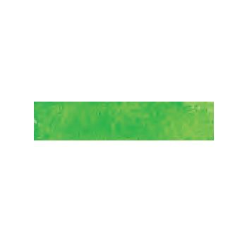 Caran D'Ache Museum Aquarelle Pencils Box of 3 - Bright Green
