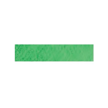 Caran D'Ache Museum Aquarelle Pencils Box of 3 - Emerald Green