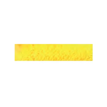 Caran D'Ache Museum Aquarelle Pencils - Gold Cadmium Yellow