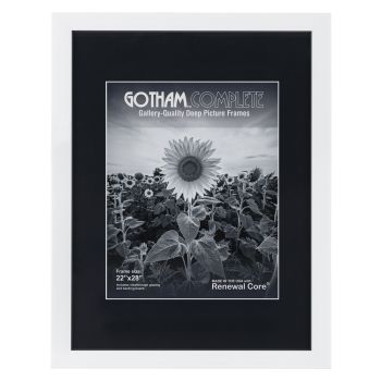 Gotham Complete White, 22"x28" Frame w/ Acrylic + Backing