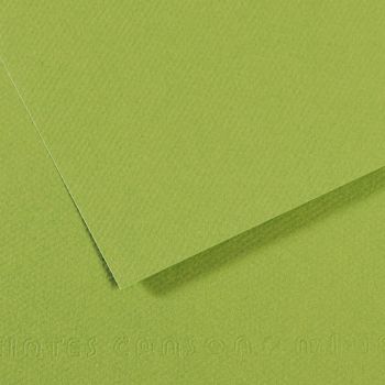 Canson Mi-Teintes Sheet 19" x 25" (Pack of 10) in 475/Apple Green