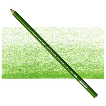 Prismacolor Premier Colored Pencils Individual PC912 - Apple Green