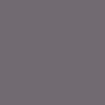 Art Spectrum Smooth Pastel Paper - Aubergine, 9.5"x12.5" (Pack of 10)