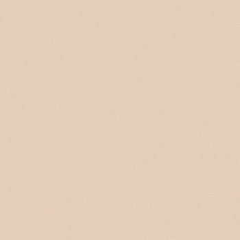 Art Spectrum Smooth Pastel Paper - Australian Grey, 9.5"x12.5" (Pack of 10)