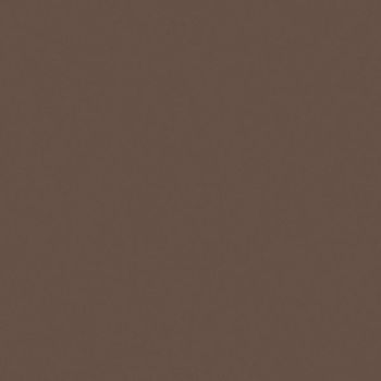 Art Spectrum Smooth Pastel Paper - Burnt Umber, 9.5"x12.5" (Pack of 10)