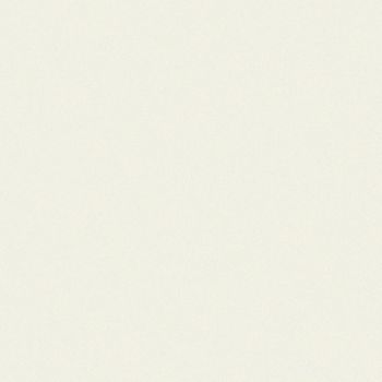 Art Spectrum Smooth Pastel Paper - Clear, 19.5"x27.5" (Pack of 10)