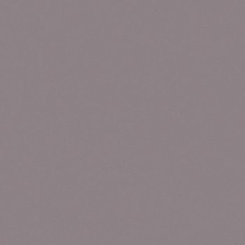 Art Spectrum Smooth Pastel Paper - Elephant Grey, 9.5"x12.5" (Pack of 10)