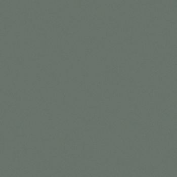 Art Spectrum Smooth Pastel Paper - Leaf Green Dark, 9.5"x12.5" (Pack of 10)