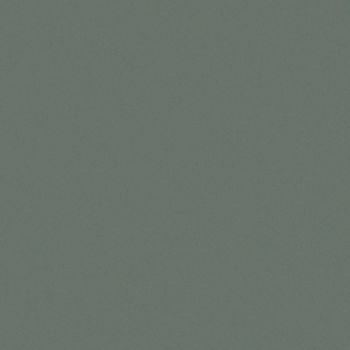 Art Spectrum Smooth Pastel Paper - Leaf Dark Green, 19.5"x27.5" (Pack of 10)