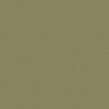 Art Spectrum Smooth Pastel Paper - Olive Green, 19.5"x27.5" (Pack of 10)
