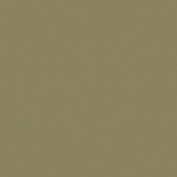 Art Spectrum Smooth Pastel Paper - Olive Green, 19.5"x27.5" (Pack of 10)