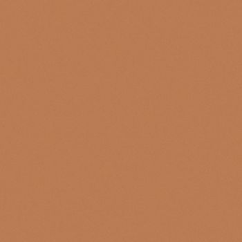 Art Spectrum Smooth Pastel Paper - Raw Sienna, 9.5"x12.5" (Pack of 10)