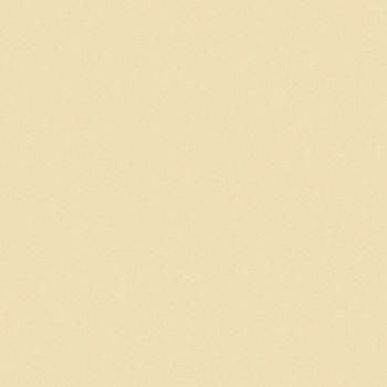 Art Spectrum Smooth Pastel Paper - Sand, 9.5"x12.5" (Pack of 10)