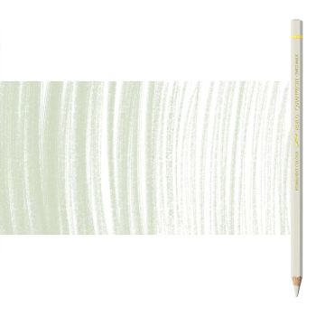 Caran d'Ache Pablo Pencils Individual No. 401 - Ash Grey